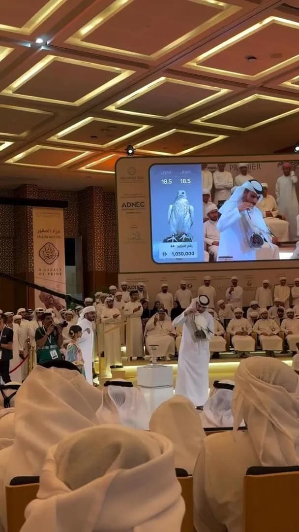 A falcon was bid up to AED 1.05 million (~$286,000) at Abu Dhabi’s International Hunting & Equestrian Exhibition. These falcons are prized for traditional falconry, breeding, competition and their rar