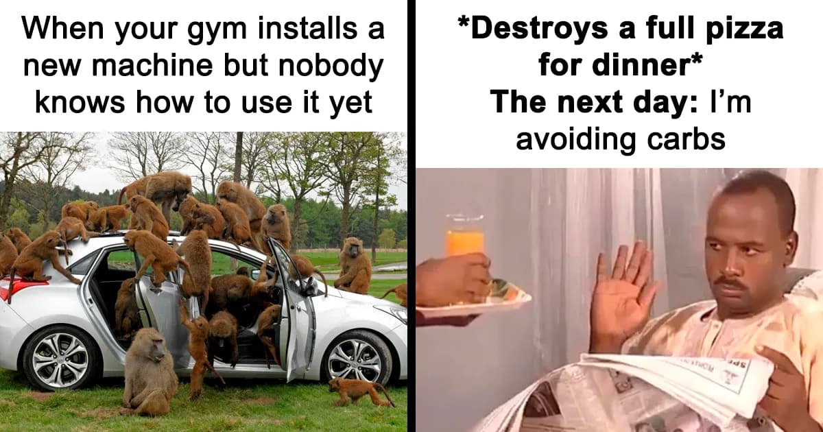Gym Life Is A Struggle: 23 Funny Memes For Dedicated Gym Goers
