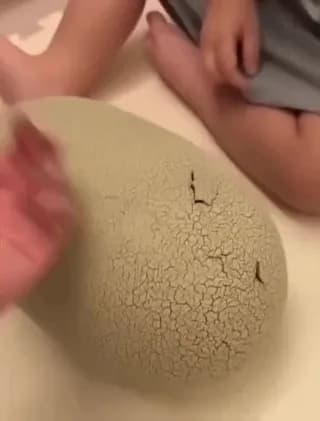 Realistic T-rex toy egg