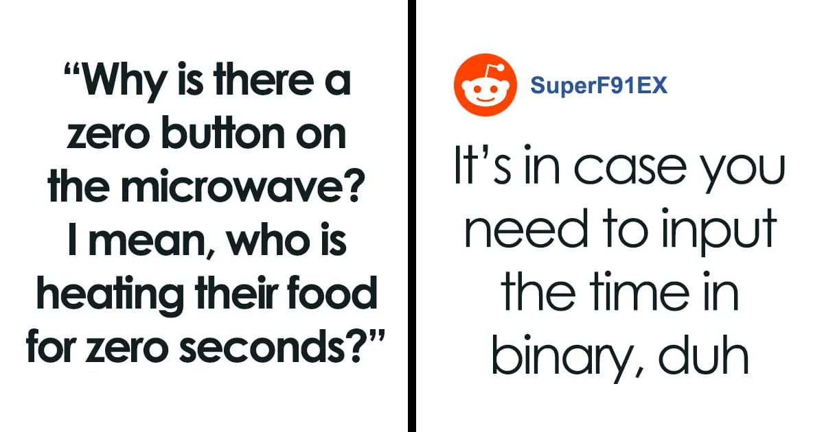 40 People Asked Stupid Questions And Got Even Stupider Answers