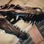 Q&A: What dinosaur teeth reveal about diet and evolution
