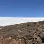 Antarctica is home to microbes found nowhere else on Earth