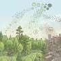 Why atmospheric nanoparticles grow at similar rates everywhere