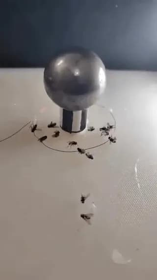 Not pretty, but perfectly effective