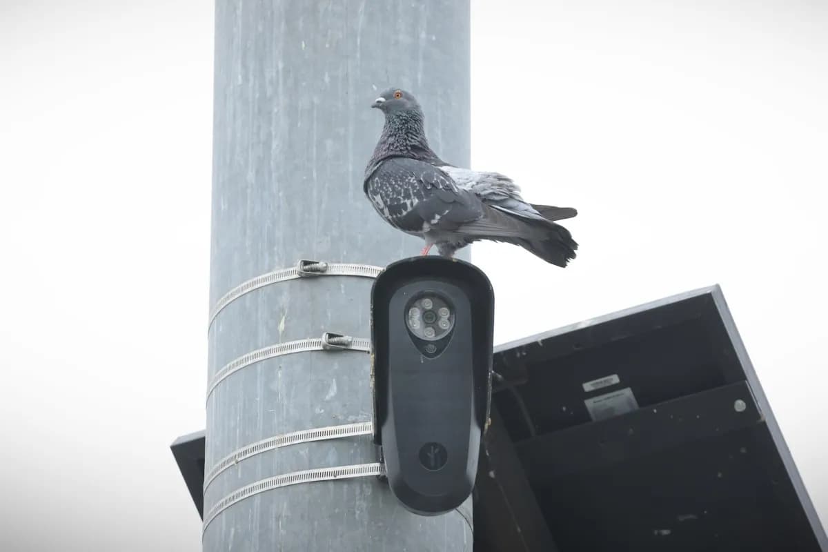 Florida and Texas move to block Flock cameras over privacy concerns | TechCrunch