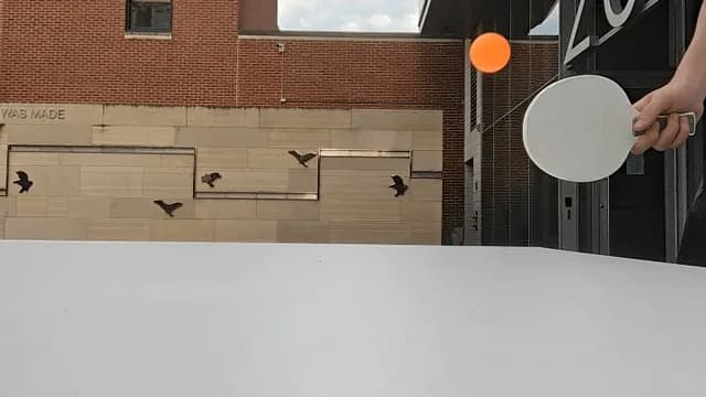 A bouncy ping pong ball