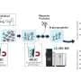 Magnetic beads streamline large-scale analysis of disease-linked glycopeptides