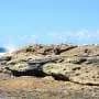 Ocean heat waves linked with poorer health among children in coastal communities