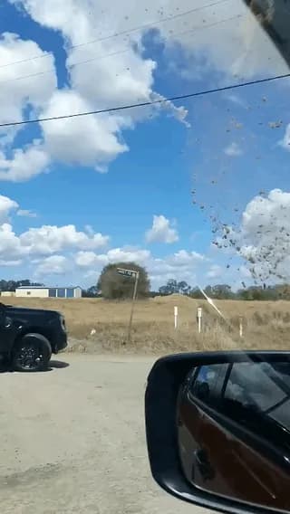 Grass caught in a whirly wind.