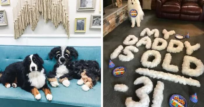 People On Facebook Are Sharing Whimsical Pics Of How Much Their Dogs Shed