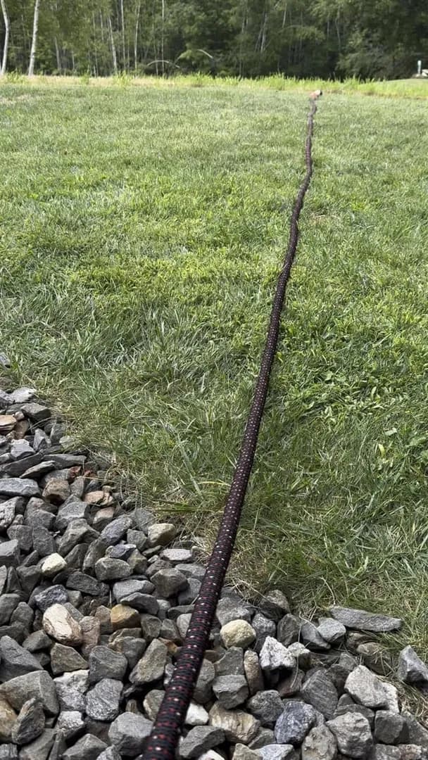 The way this hose moves when you turn it on