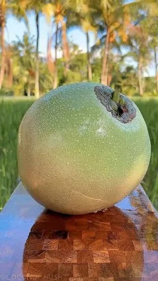The way this coconut is peeled