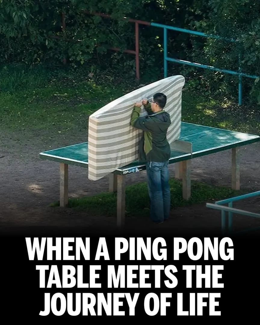 One ping pong table, five years, and countless of unexpected moments