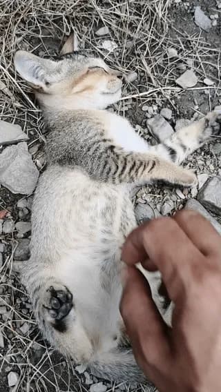 [OC] Stopped rubbing her belly, she opened her eyes to check on that