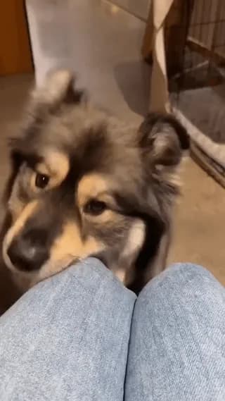 This Face