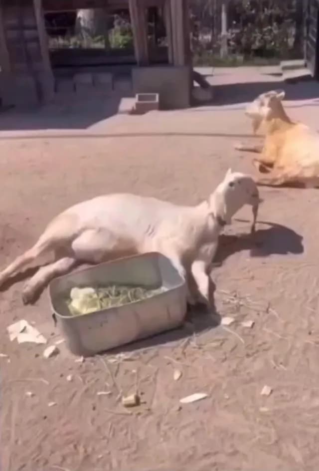 Peak relaxation