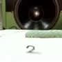 Caterpillar twitches in an ultraquiet chamber help biologists understand how these insects hear without ears
