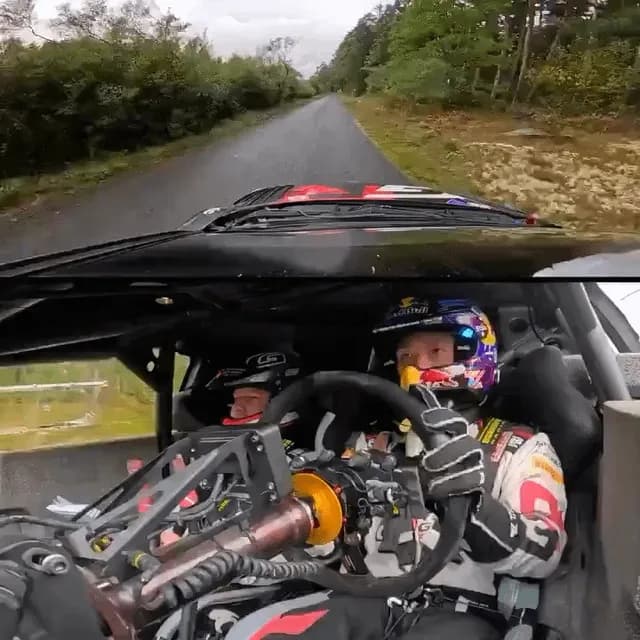 Rally pilot vs what rally pilot sees