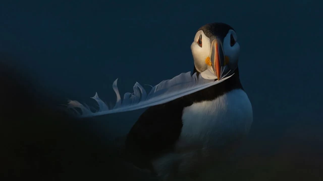 22 Best Photos From The Canadian Wildlife Photography Of The Year Competition