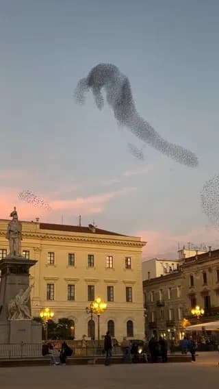 The Murmuration of Starlings Over Sassari, Sardinia, Italy.
