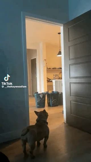 bluetooth device connected successfully.