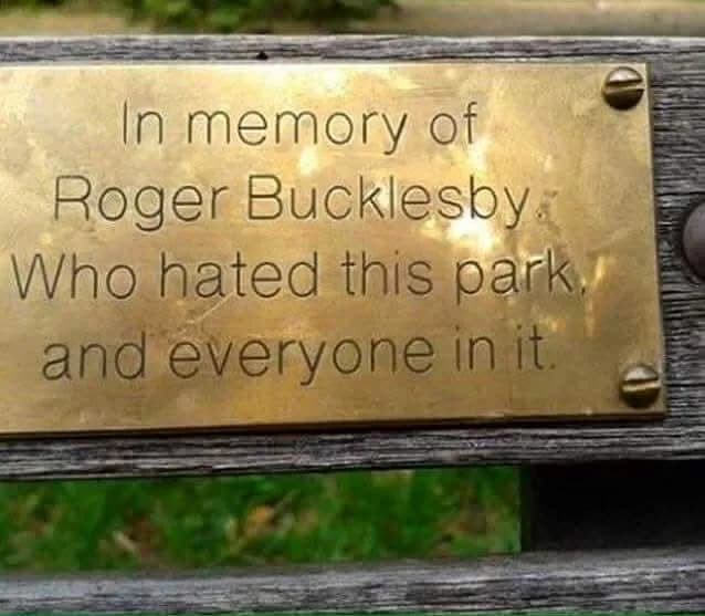 Seen on a Park Bench