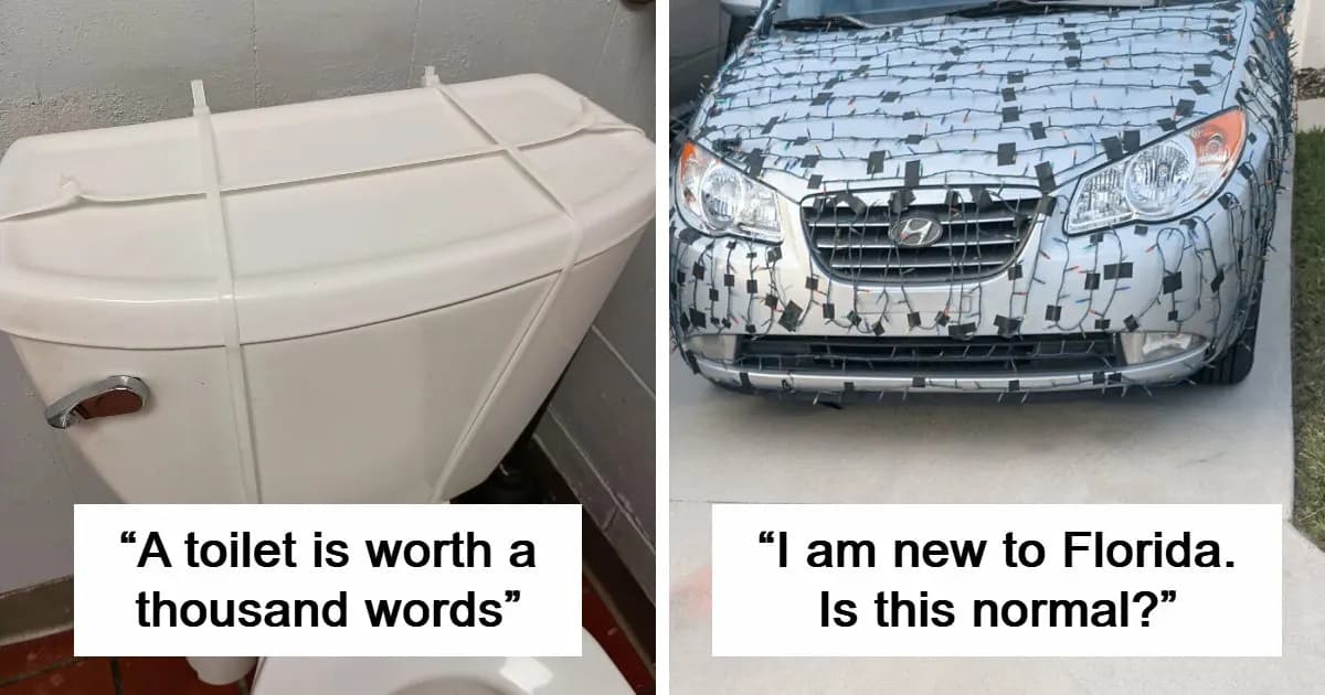 56 Florida Pics That Make Common Sense Feel Optional