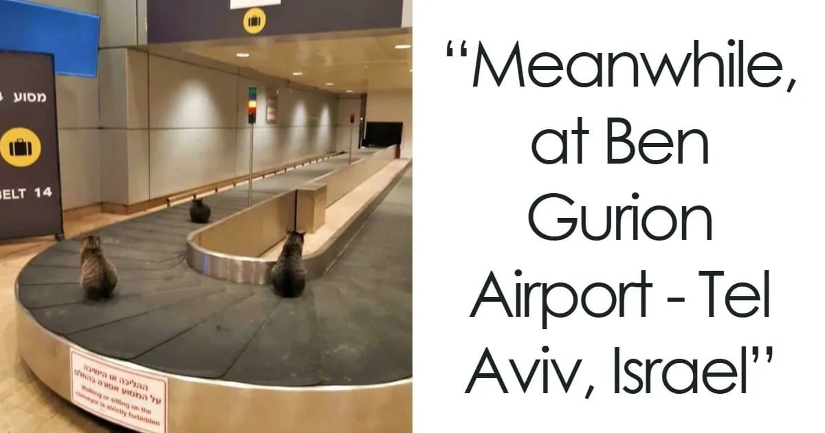 Travel Moments: Quirky And Bizarre Things Spotted At Airports