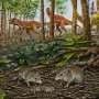 Early mammals weren't all loners—some may have lived in pairs alongside the dinosaurs