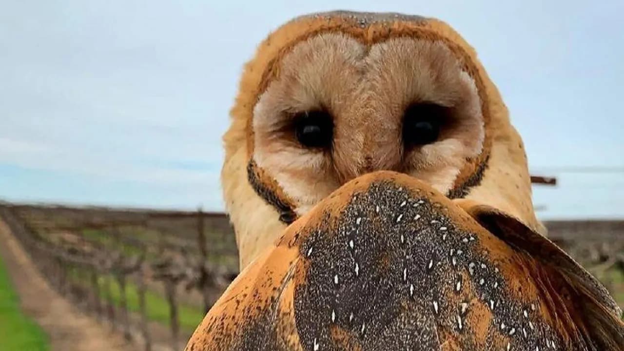 106 Awe-Inspiring Photos That Prove Nature Is Freaking Lit (New Pics)