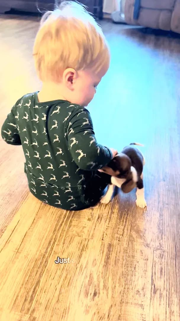 Just two babies figuring each other out