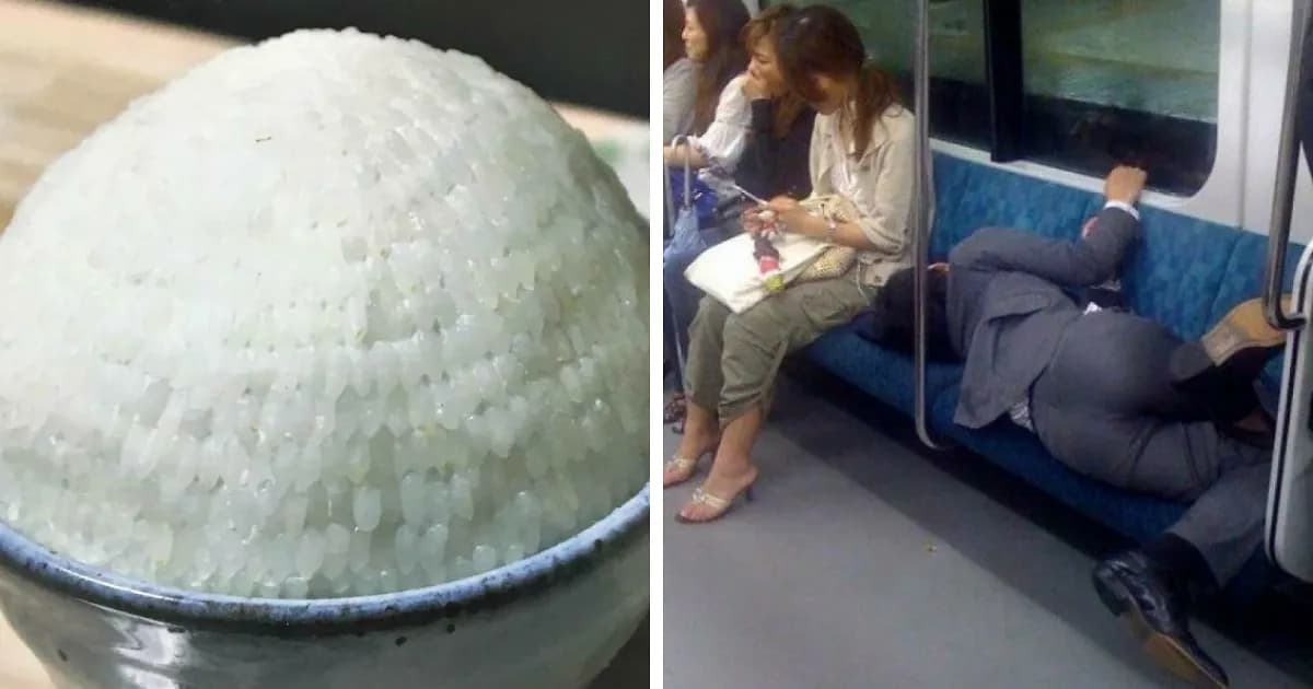 “Japanese Stuff Without Context”: 31 Funny And Weird Pics That Showcase How Unique Japan Really Is