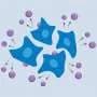 Virus-like particles enable gene activity tracking over time in the same cells