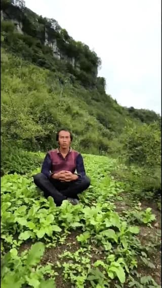 This man sits in the same spot every day and takes a photo to document the growth of the plants.
