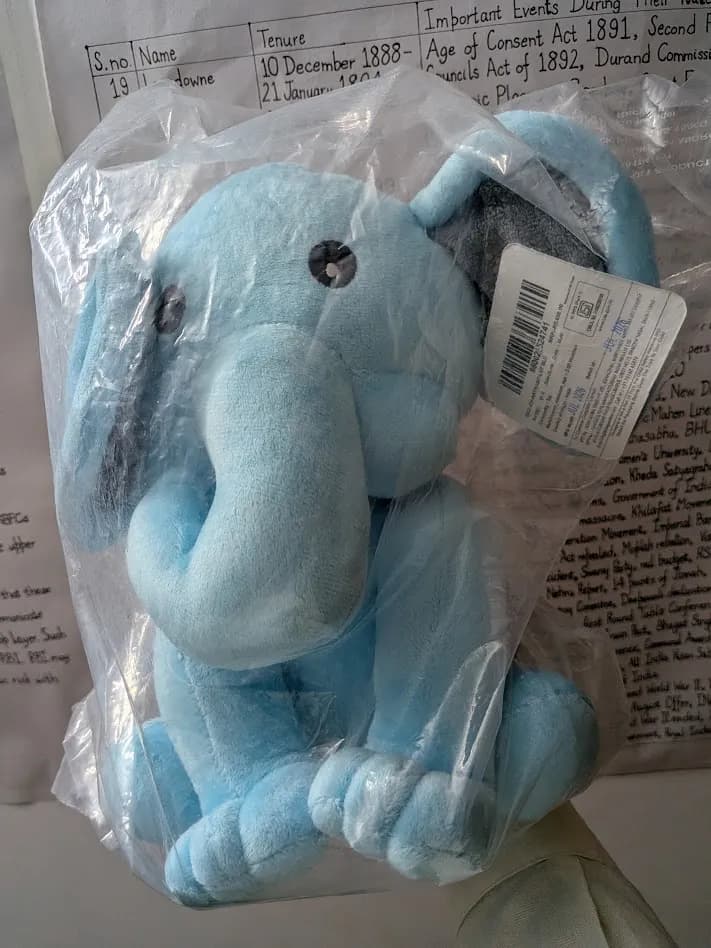 My students gifted me a stuffed elephant for Teacher's Day