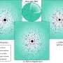 A black hole as light as 40 tons can exist inside a star if dark matter helps