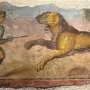 Late Roman decrees uncover military system behind amphitheater animal spectacles
