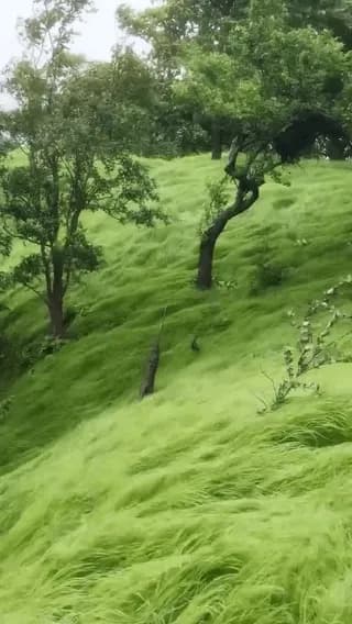 🔥Gorakhgad Fort, a meditation spot