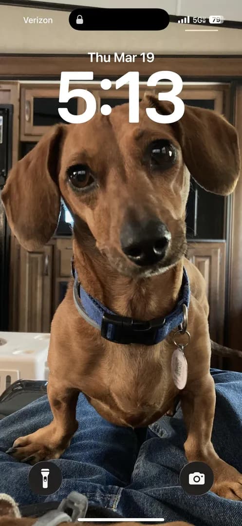 Buster Says Hi