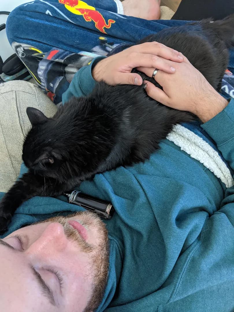 How much this cat loves this man...