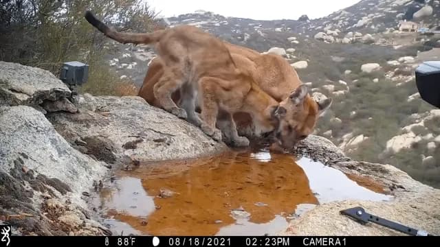 Remember to hydrate