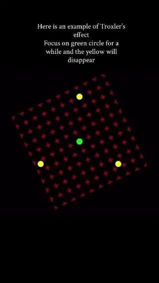 The Troxler's Effect A fascinating visual phenomenon where details in our peripheral vision slowly fade when we stare at a fixed point. Stare at the central dot: the yellow dots will disappear.