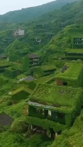 Nature has reclaimed an abandoned fishing village near Shanghai.