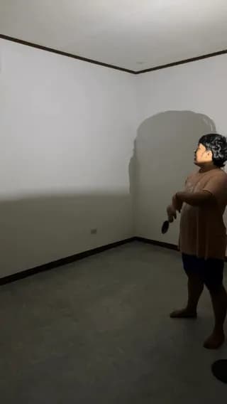 Hand shadow play