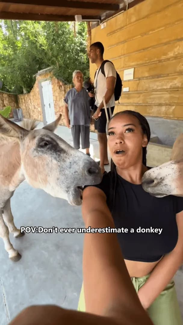 When Donkeys Steal the Show