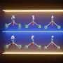 Reversible electric control unlocks persistent chiral phonon states