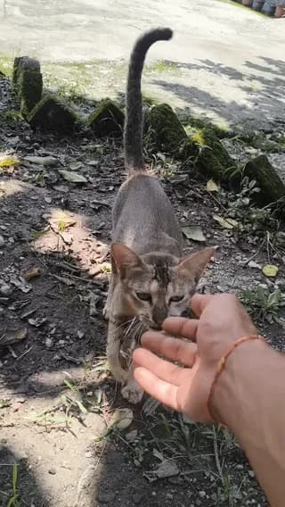 [OC] From scared to safe. This is what trust looks like.