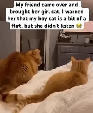 Smooth