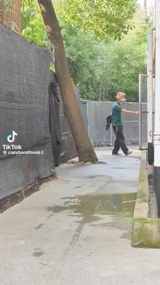 Zoomies!