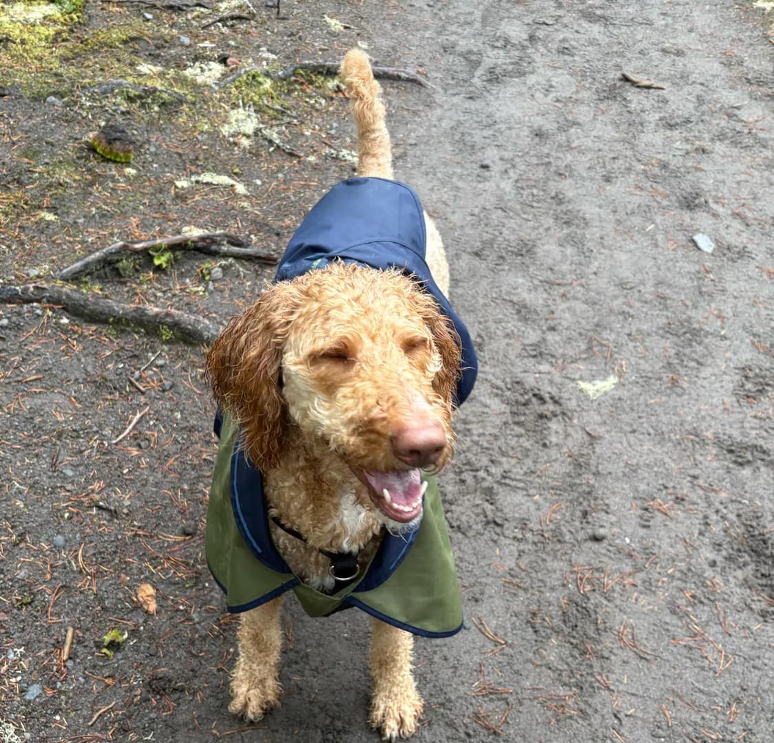 Happy hiker (OC)